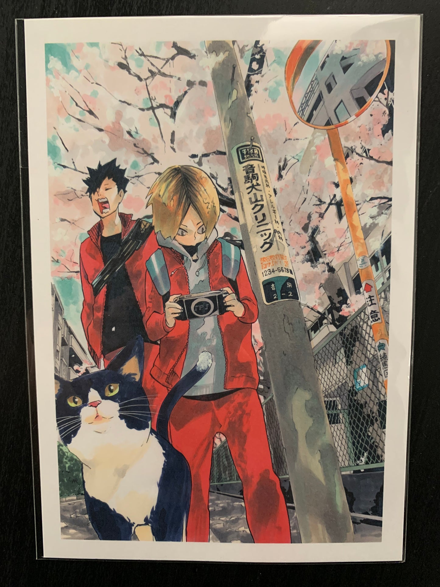 Haikyuu!! Original Manga Postcards