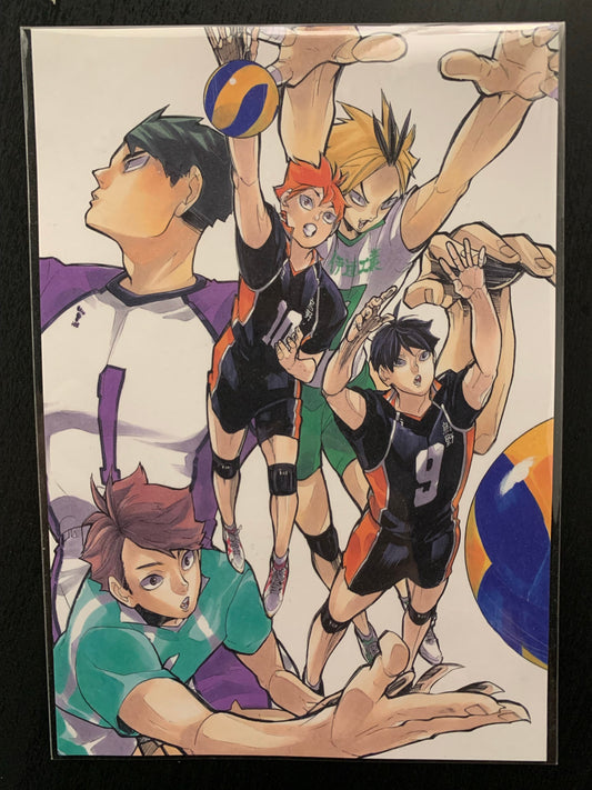 Haikyuu!! Original Manga Postcards