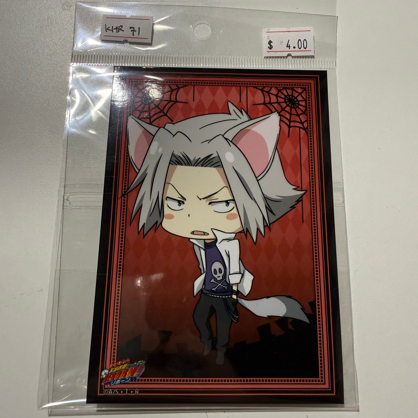 Katekyo Hitman Reborn!- Confirmed/ Open box