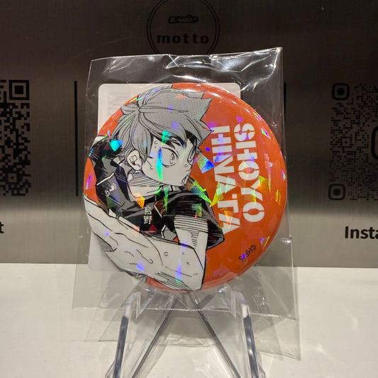 Karasuno High School-Shoyo Hinata