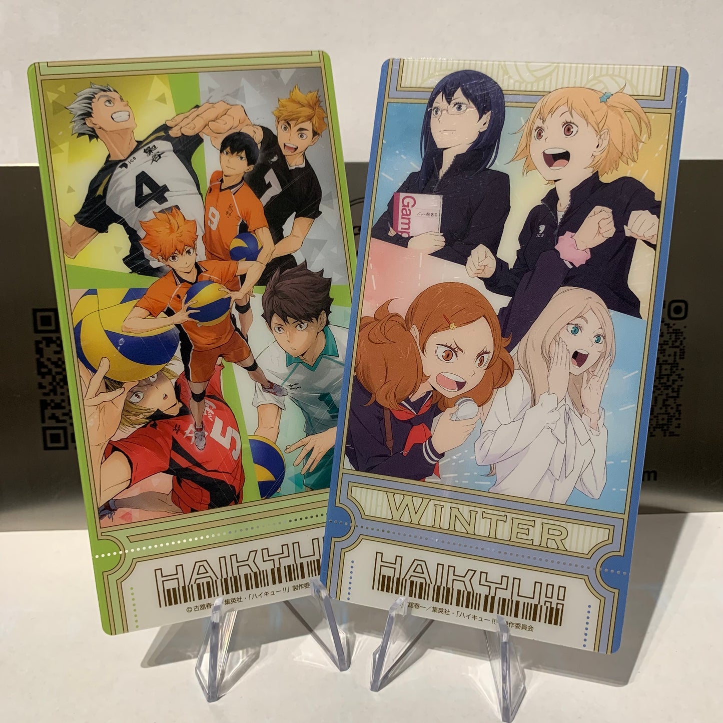 [Haikyuu!!] Anime Visual Collectible Ticket